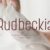 Rudbeckia Font