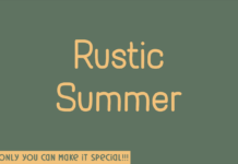 Rustic Summer Font Poster 1