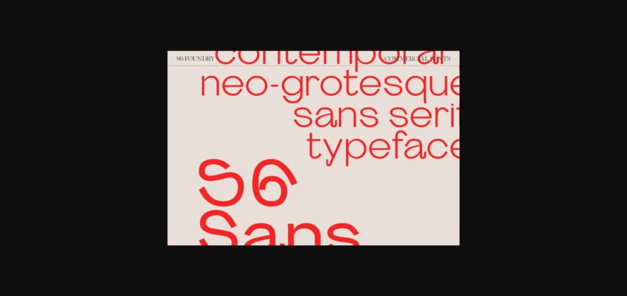 S6 Sans Font Poster 8