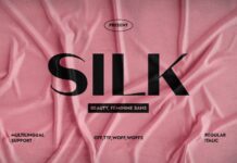 Silk Font Poster 1