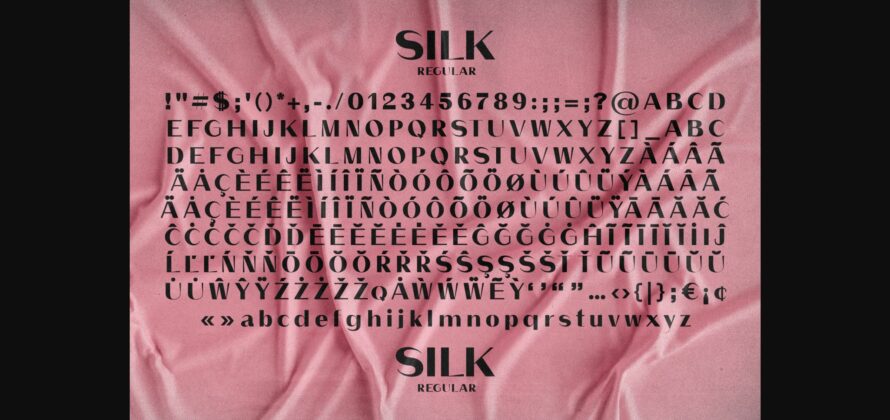 Silk Font Poster 11