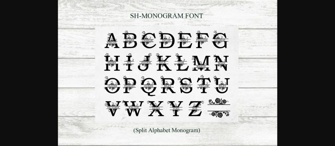 SM Monogram Font Poster 6