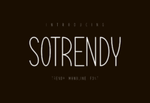 Sotrendy Font Poster 1