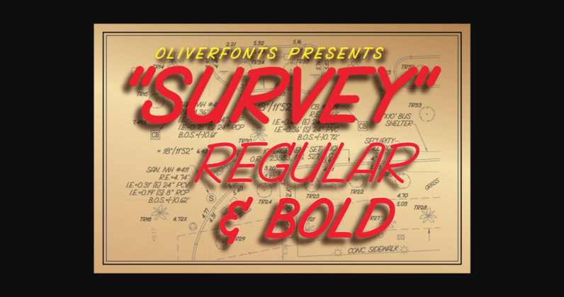 Survey Font Poster 3
