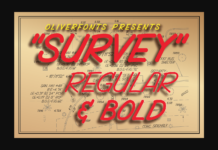 Survey Font Survey Font Poster 1