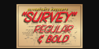 Survey Font Poster 1