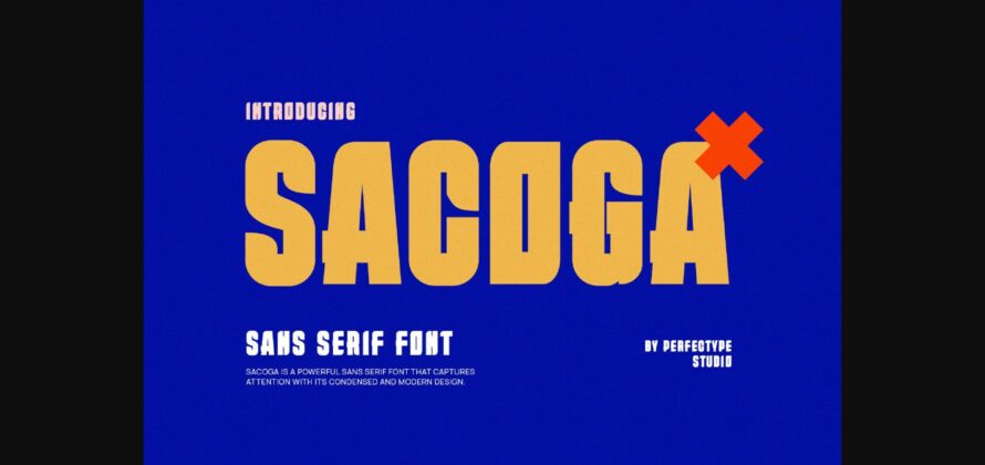 Sacoga Font Poster 3