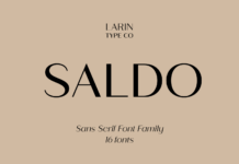 Saldo Font Saldo Font Poster 1