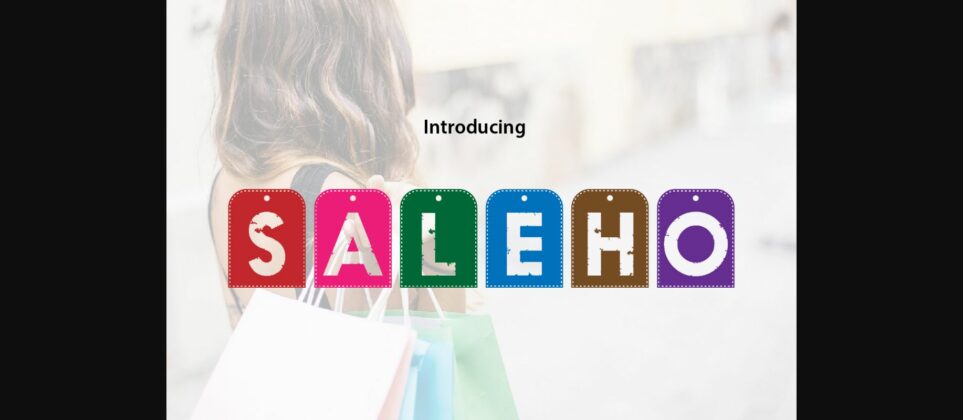 Saleho Font Poster 1