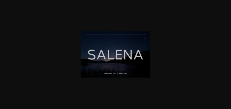 Salena Font Poster 3