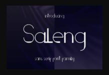 Saleng Font Poster 1