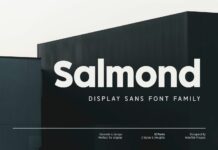 Salmond Font Poster 1