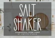 Salt Shaker Font Poster 1
