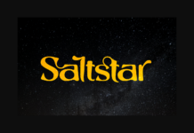 Saltstar Font Poster 1