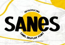 Sanes Font Poster 1