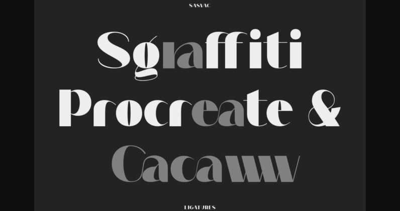 Sasvac Font Poster 4