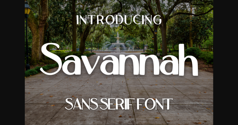 Savannah Font Poster 3