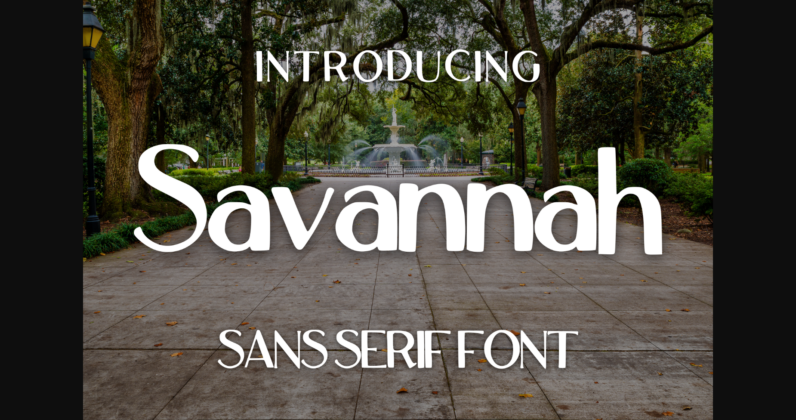 Savannah Font Poster 1