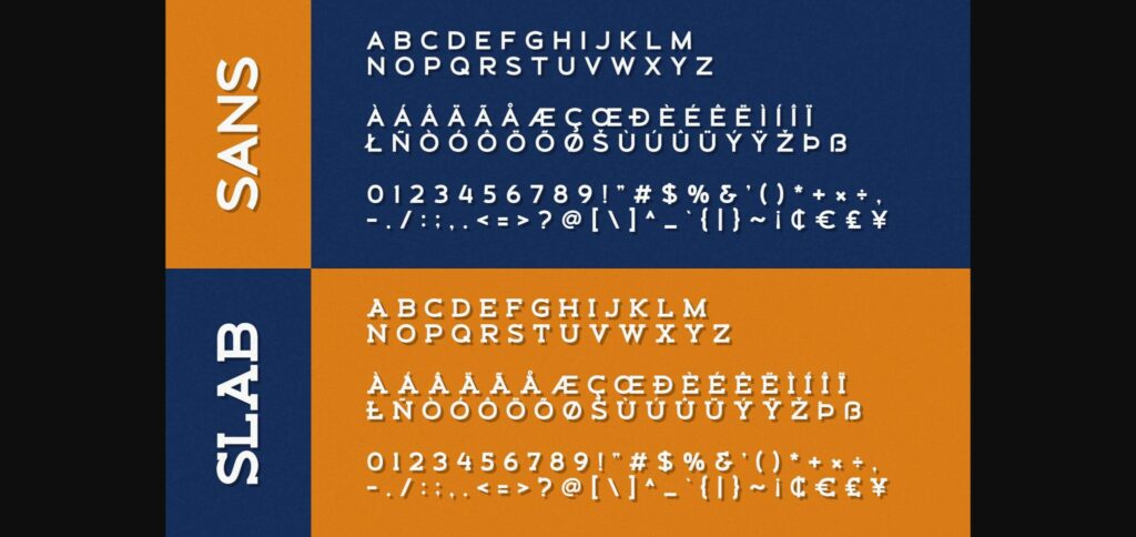 Schein Font Poster 11