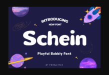 Schein Font Poster 1