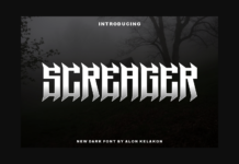 Screager Font Poster 1