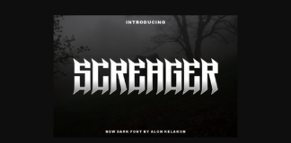 Screager Font Poster 1