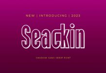 Seackin Font Poster 1