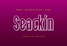 Seackin Font Poster 1