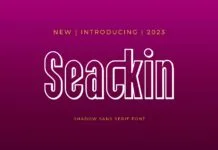 Seackin Font Poster 1
