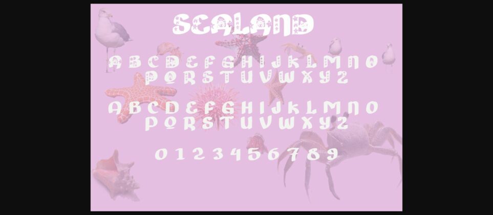 Sealand Font Poster 7
