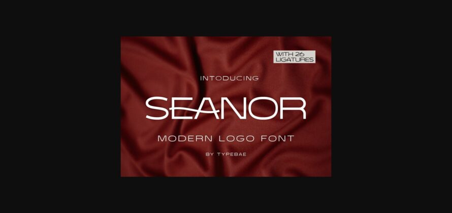 Seanor Font Poster 3