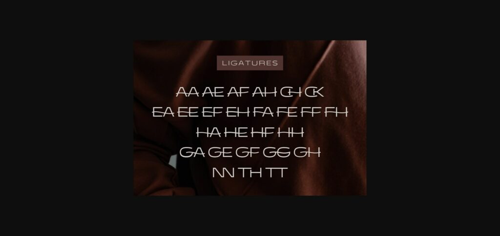 Seanor Font Poster 4