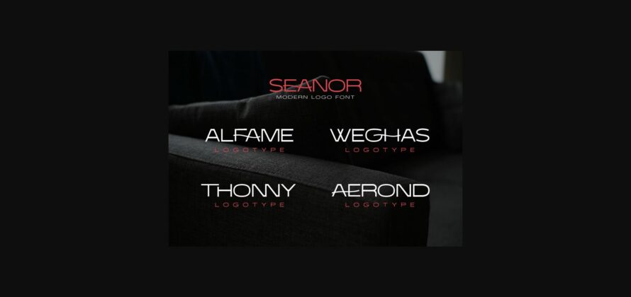 Seanor Font Poster 7