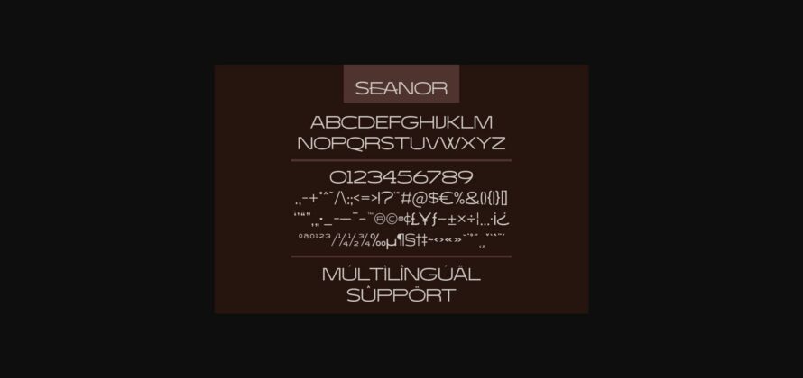 Seanor Font Poster 10