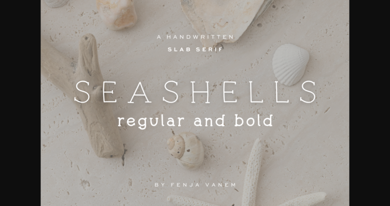 Seashells Poster 3