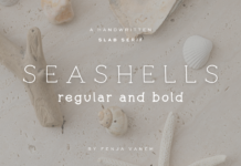 Seashells Poster 1