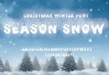 Season Snow Font Poster 1