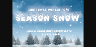 Season Snow Font Poster 1