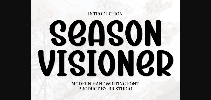 Season Visioner Font Poster 3