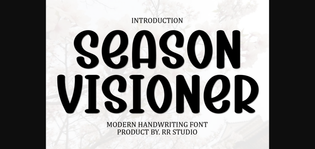 Season Visioner Font Poster 1