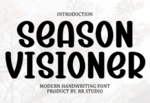 Season Visioner Font Poster 1