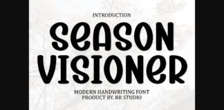 Season Visioner Font Poster 1