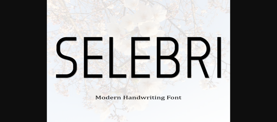 Selebri Font Poster 3