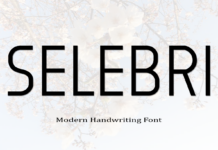 Selebri Font Poster 1