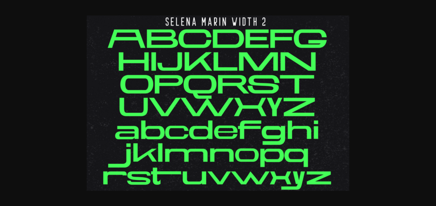 Selena Marin Font Poster 9