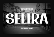 Selira Font Poster 1