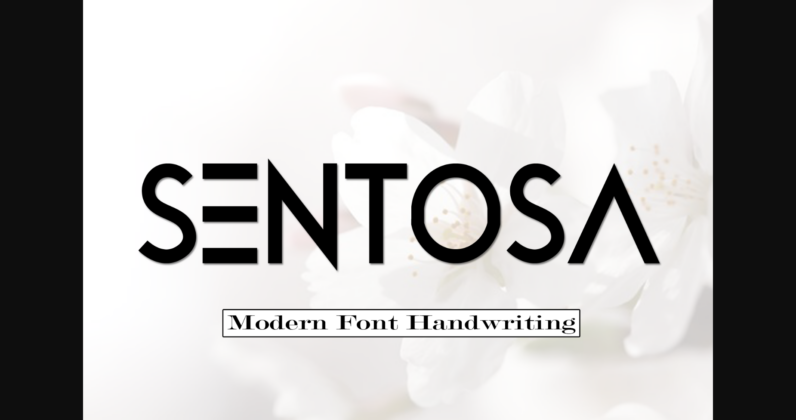 Sentosa Font Poster 3