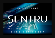 Sentru Font Poster 1