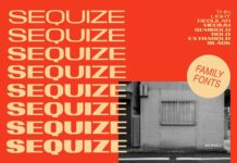 Sequize Font Poster 1