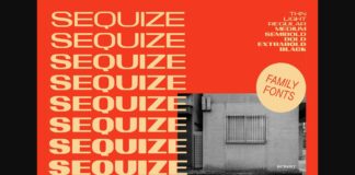 Sequize Font Poster 1